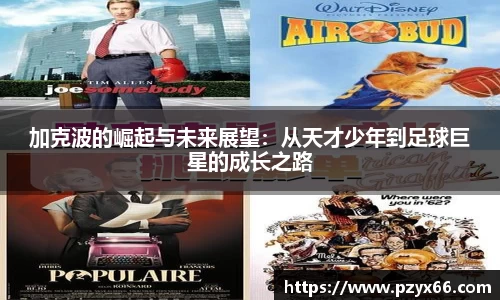 VSport胜利因您更精彩