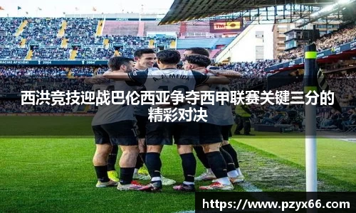 VSport胜利因您更精彩