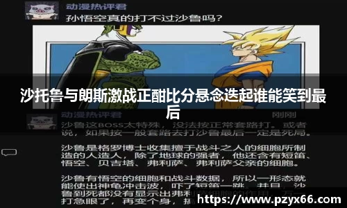 VSport胜利因您更精彩