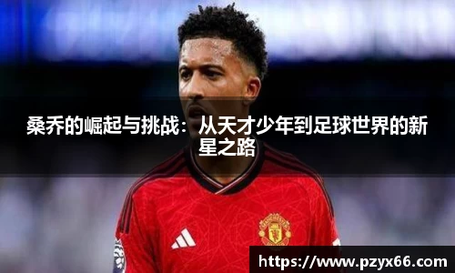 VSport胜利因您更精彩