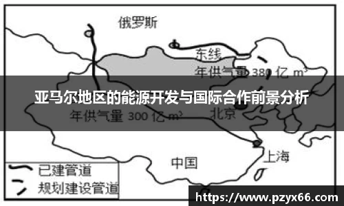 亚马尔地区的能源开发与国际合作前景分析