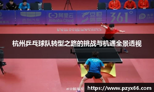 杭州乒乓球队转型之路的挑战与机遇全景透视